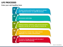 Life Processes PowerPoint and Google Slides Template - PPT Slides