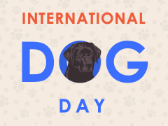 Free - International Dog Day PowerPoint Template and Google Slides Theme