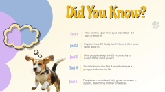 Cute Puppy Theme PPT Slide 10