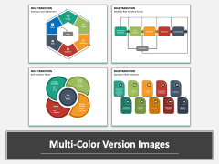 Role Transition PPT Multicolor Combined