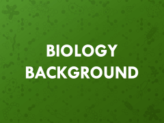 Free - Biology Background Presentation for PowerPoint and Google Slides