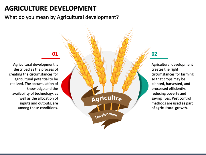 Agriculture Development PPT Slide 1