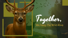 Wildlife Conservation Theme PPT Slide 11