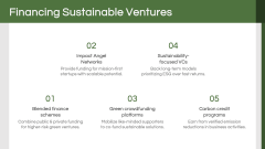 Sustainable Entrepreneurship PPT Slide 9