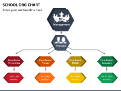 School ORG Chart for PowerPoint and Google Slides - PPT Slides