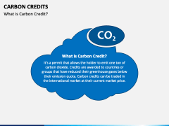 Carbon Credits PPT Slide 2