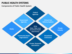 Public Health Systems PPT Slide 4