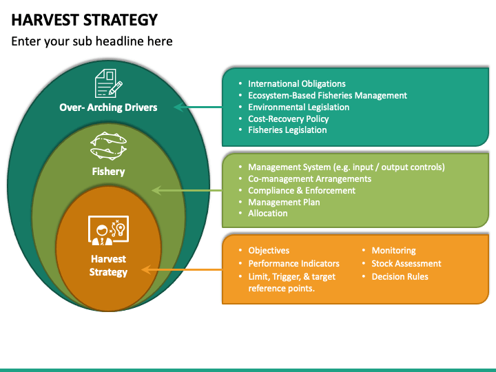 example of harvest strategy in business plan