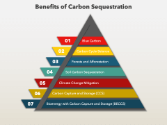 Carbon Sequestration PPT Slide 8