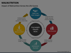 Malnutrition Animated Presentation - SketchBubble