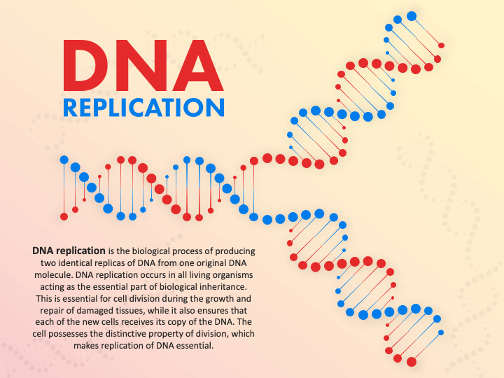 DNA Replication PPT Slide 1
