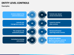 Entity Level Controls Powerpoint And Google Slides Template - Ppt Slides