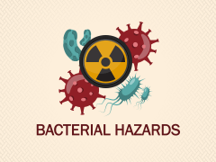 Bacterial Hazards PPT Slide 1