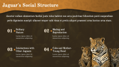 Jaguar Presentation Theme PPT Slide 6