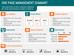 One Page Management Summary PowerPoint and Google Slides Template PPT