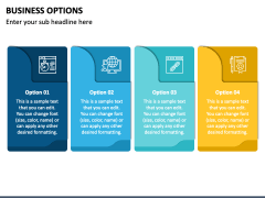 Business Options PPT Slide 6
