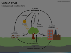 Oxygen Cycle PowerPoint Template - PPT Slides