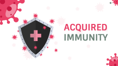 Free - Free - Acquired Immunity PowerPoint and Google Slides Template ...