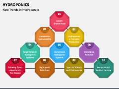 Hydroponics PPT Slide 5