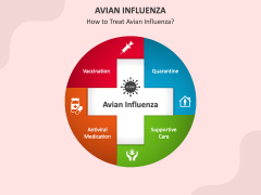 Avian Influenza PPT Slide 5