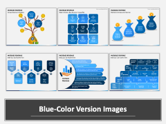 Increase Revenue PPT Combined