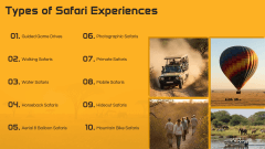 Safari Theme PPT Slide 9
