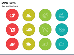 Snail Icons Slide 1