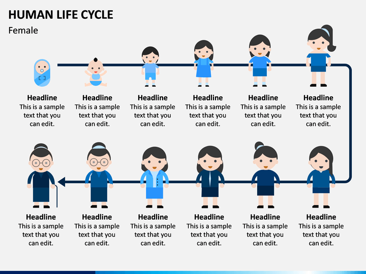 Human Life Cycle Puzzle