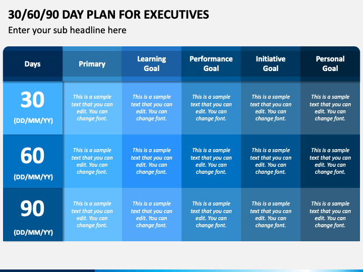 30 60 90 day plan for executives example