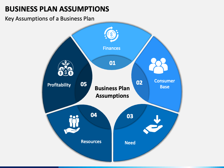 what are key assumptions in a business plan
