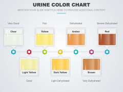 Urine Color Chart PPT Slide 2
