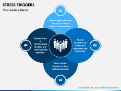 Stress Triggers PPT Slide 3
