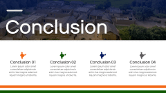 India Case Study PPT Slide 11