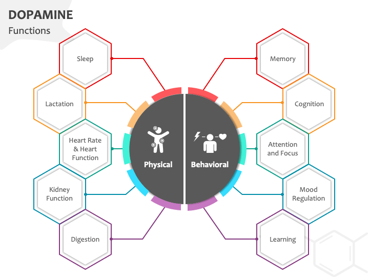 Dopamine Functions