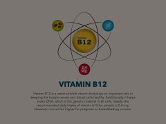 Vitamin B12 Animated Presentation - SketchBubble