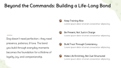 Dog Training Presentation Theme PPT Slide 10