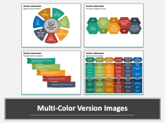 Digital Assurance Multicolor Combined