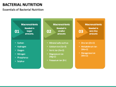 Bacterial Nutrition PowerPoint and Google Slides Template - PPT Slides