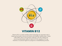 Vitamin B12 PowerPoint And Google Slides Template - PPT Slides