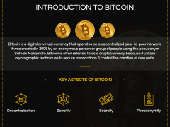 Bitcoin Business Model PPT Slide 3