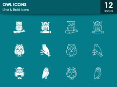 Owl Icons for PowerPoint and Google Slides - PPT Slides