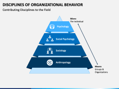 Disciplines of Organizational Behavior PPT Slide 2