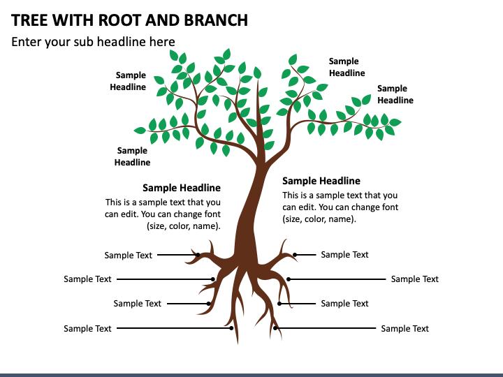 Tree with Root and Branch PPT Slide 1