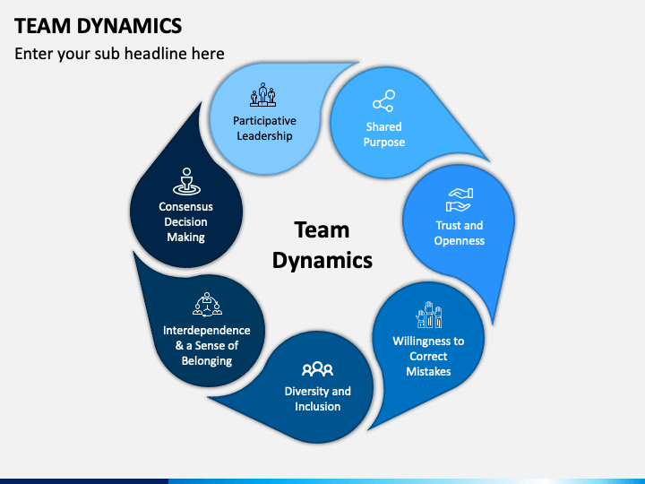 what are examples of team dynamics