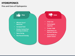 Hydroponics PPT Slide 6