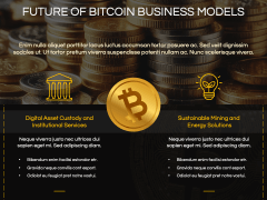 Bitcoin Business Model PPT Slide 10