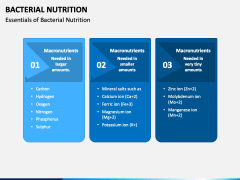 Bacterial Nutrition PowerPoint and Google Slides Template - PPT Slides