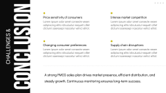 FMCG Sales Plan PPT Slide 12