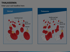 Thalassemia Animated Presentation - SketchBubble