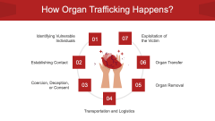 Organ Trafficking PPT Slide 4